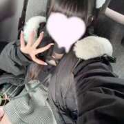 ヒメ日記 2026/02/06 21:51 投稿 うさぎ LEVEL1