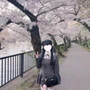 ヒメ日記 2026/04/04 22:21 投稿 うさぎ LEVEL1