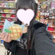 ヒメ日記 2026/04/08 03:11 投稿 うさぎ LEVEL1