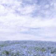 ヒメ日記 2026/05/05 02:01 投稿 うさぎ LEVEL1