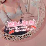 ヒメ日記 2025/06/07 18:27 投稿 ゆう 秋葉原コスプレ学園in西川口