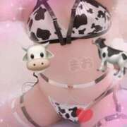 ヒメ日記 2026/02/08 16:01 投稿 まお 京都デリヘル倶楽部FIRST