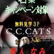 ヒメ日記 2024/03/16 16:27 投稿 なみ C.C.CATS