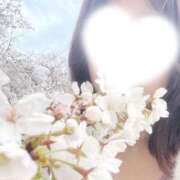 ヒメ日記 2025/05/30 12:06 投稿 あい 道玄坂クリスタル