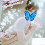 ヒメ日記 2025/01/29 23:18 投稿 城ケ崎めぐ ミセス大阪十三店