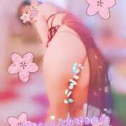 ヒメ日記 2026/03/21 12:44 投稿 城ケ崎めぐ ミセス大阪十三店