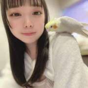 ヒメ日記 2025/03/17 22:21 投稿 ななほし まだ舐めたくて学園渋谷校〜舐めたくてグループ〜