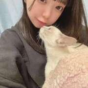 ヒメ日記 2025/04/09 01:30 投稿 ななほし まだ舐めたくて学園渋谷校〜舐めたくてグループ〜