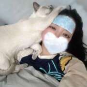 ヒメ日記 2025/12/24 16:00 投稿 ななほし 君を舐めたくて学園