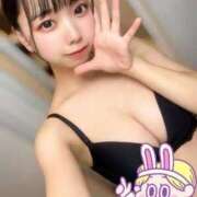 ヒメ日記 2026/01/29 11:20 投稿 ななほし 君を舐めたくて学園