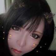 ヒメ日記 2025/11/06 10:03 投稿 ありす 大高・大府市・東海市ちゃんこ