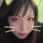 ヒメ日記 2025/11/14 16:03 投稿 ありす 大高・大府市・東海市ちゃんこ