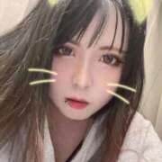 ヒメ日記 2025/11/15 06:23 投稿 ありす 大高・大府市・東海市ちゃんこ