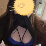 ヒメ日記 2025/11/15 08:23 投稿 ありす 大高・大府市・東海市ちゃんこ