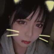 ヒメ日記 2025/11/22 19:13 投稿 ありす 大高・大府市・東海市ちゃんこ