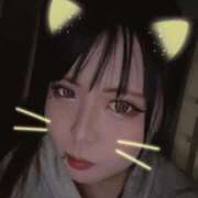 ヒメ日記 2025/12/03 10:23 投稿 ありす 大高・大府市・東海市ちゃんこ