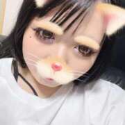 ヒメ日記 2026/07/25 07:33 投稿 ありす 大高・大府市・東海市ちゃんこ