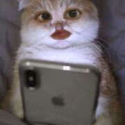 ヒメ日記 2025/07/03 00:18 投稿 みなみ 素人しか勝たん！柏店（超恋人型空間デリヘル）