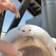 ヒメ日記 2025/11/19 13:27 投稿 みなみ 素人しか勝たん！柏店（超恋人型空間デリヘル）