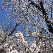 ヒメ日記 2026/04/10 21:54 投稿 みなみ 素人しか勝たん！柏店（超恋人型空間デリヘル）