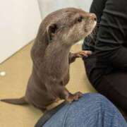 ヒメ日記 2024/12/27 21:19 投稿 CUTE【キュート】 ピンクコレクション大阪