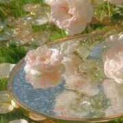 ヒメ日記 2026/01/10 19:31 投稿 CUTE【キュート】 ピンクコレクション大阪