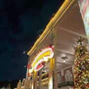 ヒメ日記 2024/12/31 11:25 投稿 なぎさ姫 螢