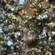 ヒメ日記 2024/12/31 11:31 投稿 なぎさ姫 螢