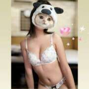 ヒメ日記 2025/01/31 09:41 投稿 なぎさ姫 螢