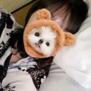 ヒメ日記 2025/02/01 08:01 投稿 なぎさ姫 螢