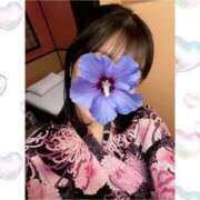 ヒメ日記 2025/03/31 16:57 投稿 なぎさ姫 螢