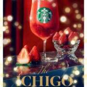 ヒメ日記 2025/04/09 21:08 投稿 なぎさ姫 螢