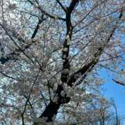 ヒメ日記 2025/05/09 18:42 投稿 なぎさ姫 螢