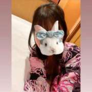 ヒメ日記 2025/05/26 10:10 投稿 なぎさ姫 螢