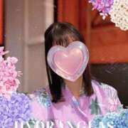 ヒメ日記 2025/06/09 18:18 投稿 なぎさ姫 螢