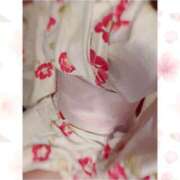 ヒメ日記 2025/08/03 09:51 投稿 なぎさ姫 螢