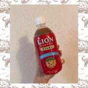 ヒメ日記 2025/10/25 17:53 投稿 なぎさ姫 螢