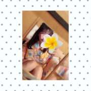 ヒメ日記 2025/11/16 13:27 投稿 なぎさ姫 螢