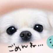 ヒメ日記 2026/02/08 10:56 投稿 りほ 茨城龍ヶ崎取手ちゃんこ