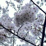 ヒメ日記 2026/03/02 22:52 投稿 りせ 横浜人妻ヒットパレード（シンデレラグループ）