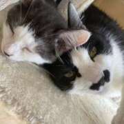 ヒメ日記 2025/03/21 20:57 投稿 はな NEW GENERATION