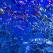 あいり お久しぶりです！ シャロン横浜