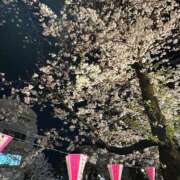 ヒメ日記 2025/04/04 22:20 投稿 しずく THE ESUTE 五反田店