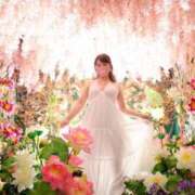 ヒメ日記 2024/12/20 12:04 投稿 あやね 淫乱痴女エステ新宿店