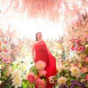 ヒメ日記 2024/12/28 07:47 投稿 あやね 淫乱痴女エステ新宿店