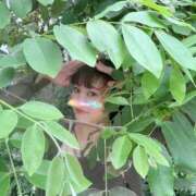 ヒメ日記 2025/02/03 12:06 投稿 あやね 淫乱痴女エステ新宿店