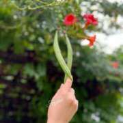 ヒメ日記 2025/05/24 17:31 投稿 あやね 淫乱痴女エステ新宿店