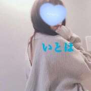 ヒメ日記 2026/02/01 15:41 投稿 いとは 淫乱痴女エステ新宿店