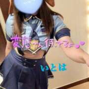 ヒメ日記 2026/05/28 17:52 投稿 いとは 淫乱痴女エステ新宿店