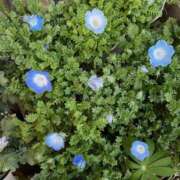 ヒメ日記 2026/02/20 22:26 投稿 双葉 MCロイヤル